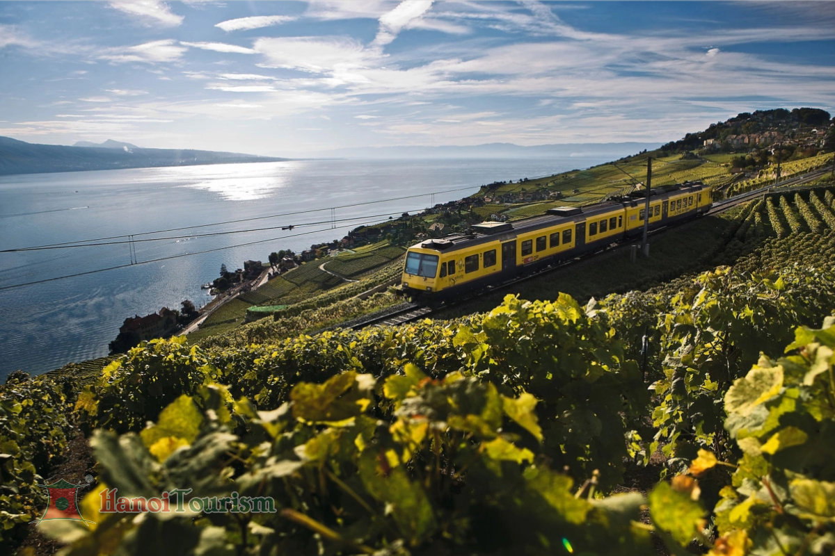 Thung lũng Lavaux – Lavaux- Thụy Sĩ
