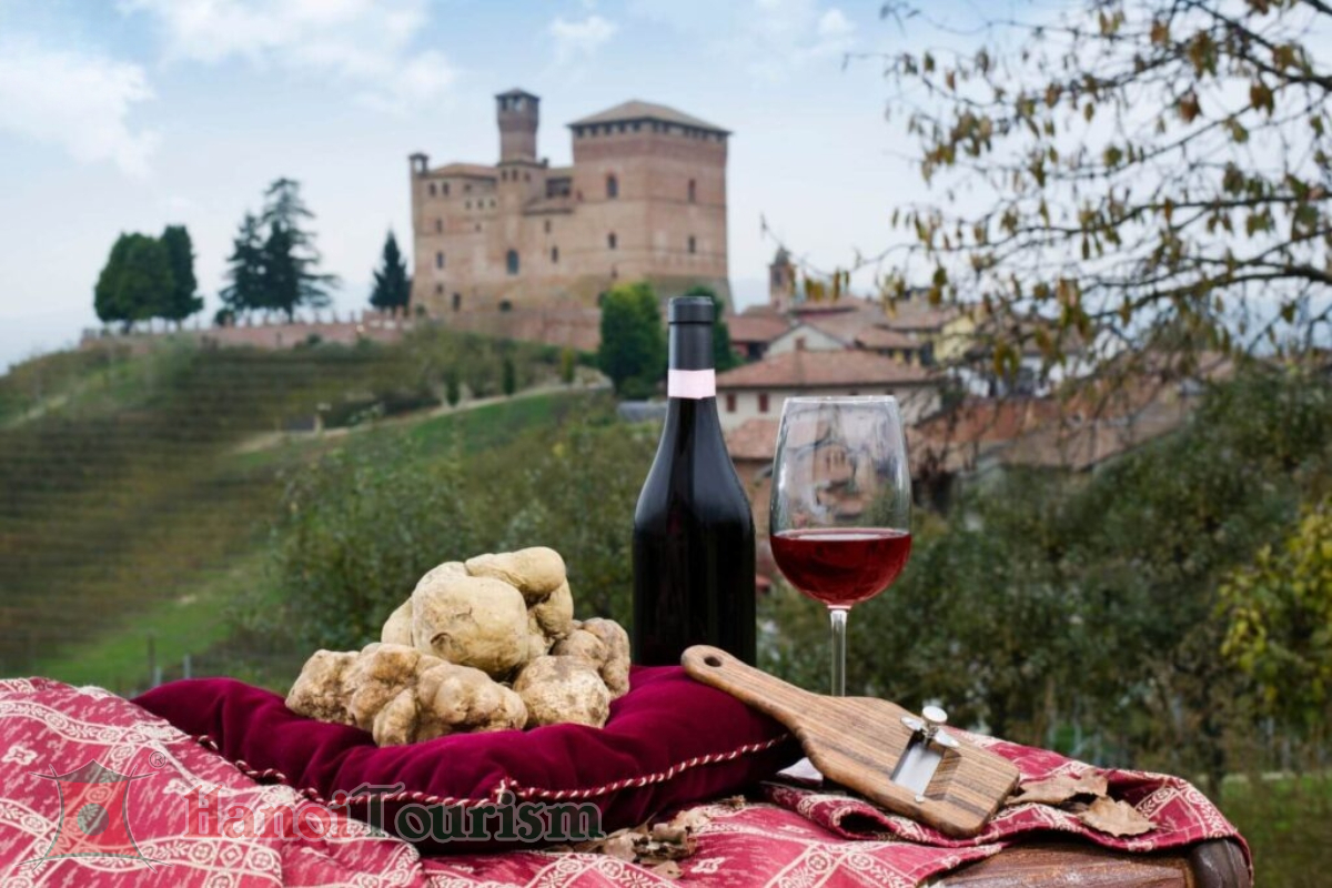 Trải nghiệm thử rượu vang – Piedmont - Ý