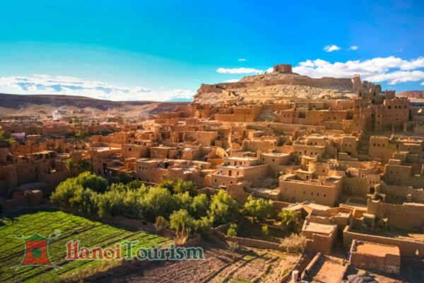 rừng tuyết tùng Azrou - Maroc